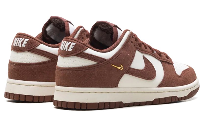 nike-dunk IB4417-104