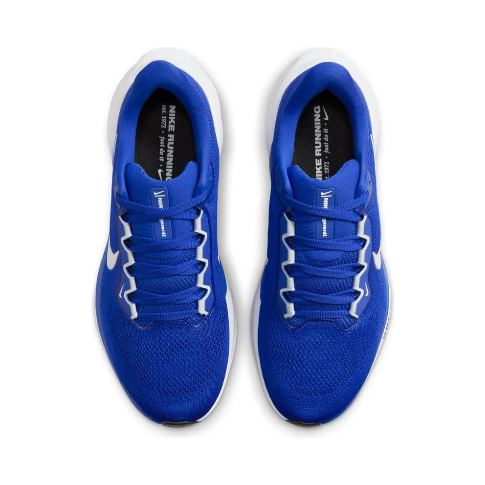 Nike Air Zoom Pegasus 41 TB Game Royal White (HF1538-403)