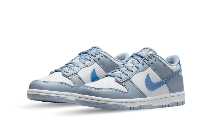 Nike Dunk Low Next Nature Blue Whisper (GS) (FJ4668-400)