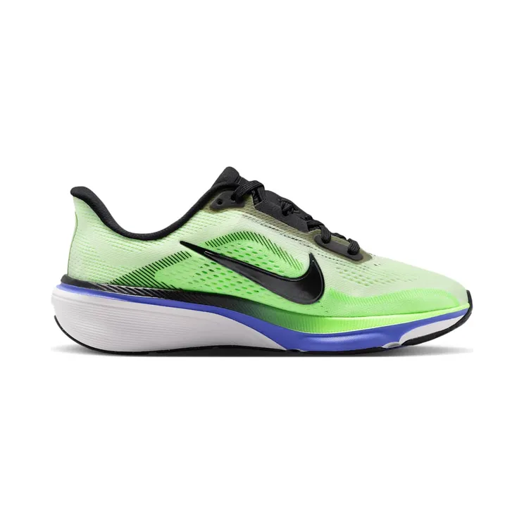 nike-air-pegasus IH2306-700
