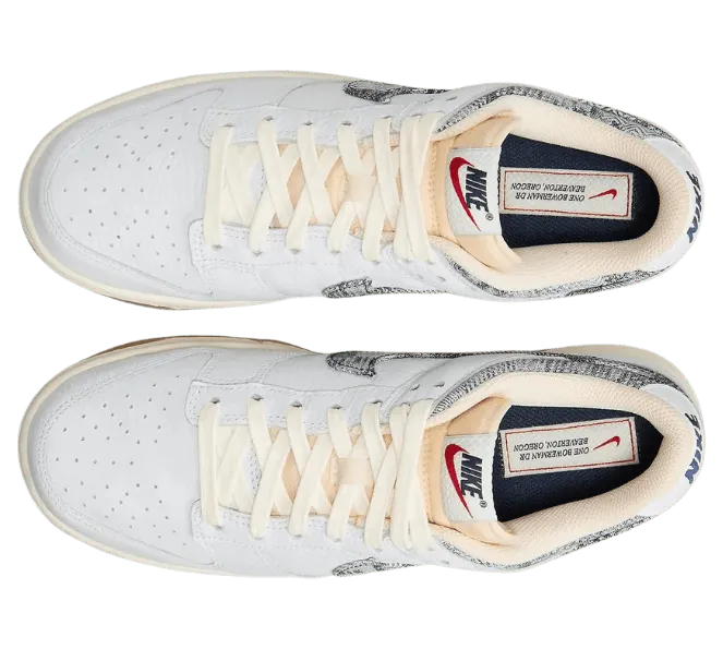 nike-dunk FN6881-100