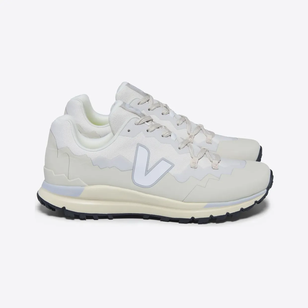 veja-fitz-roy FR2303556A