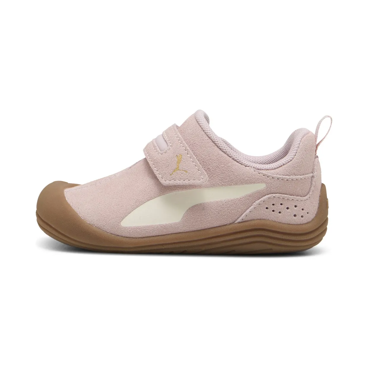 puma-kitten 403807_03