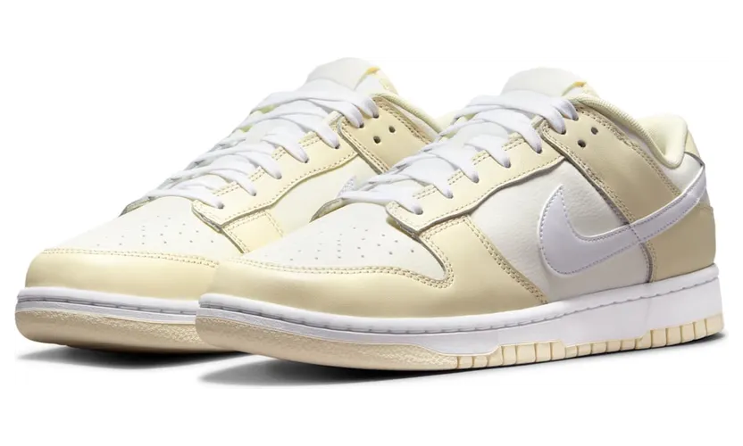 nike-dunk DJ6188-100