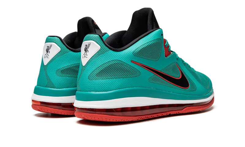 Nike LeBron 9 Low Green (DQ6400-300)