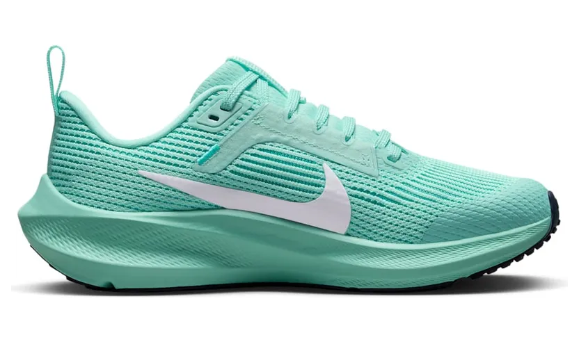 nike-air-pegasus DX2498-300