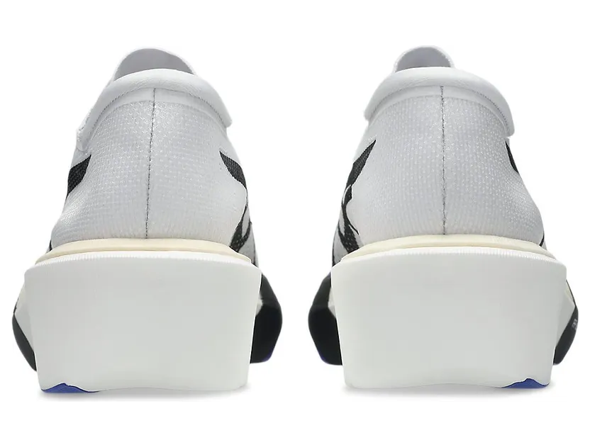 asics-metaspeed-sky 1013A162-101