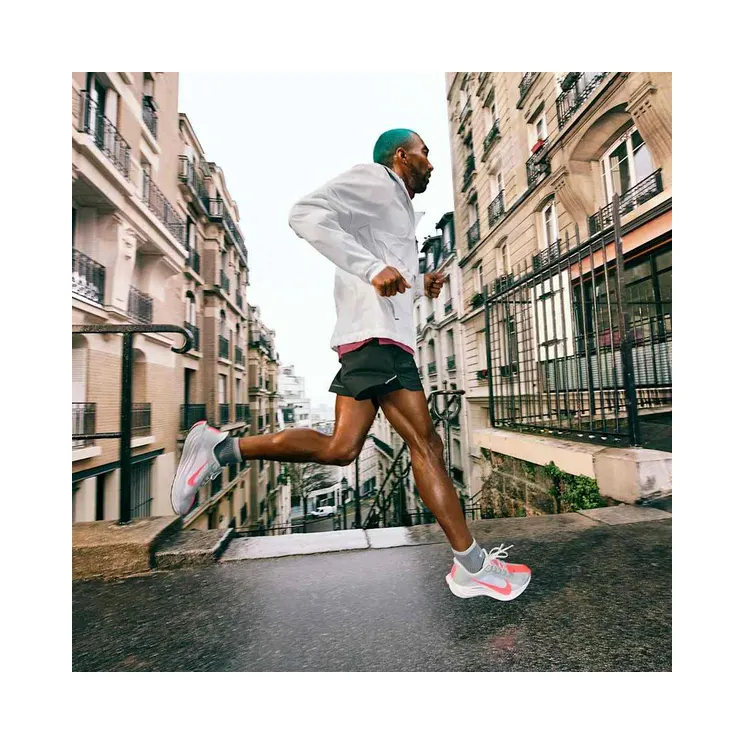 nike-air-pegasus FQ7262-017