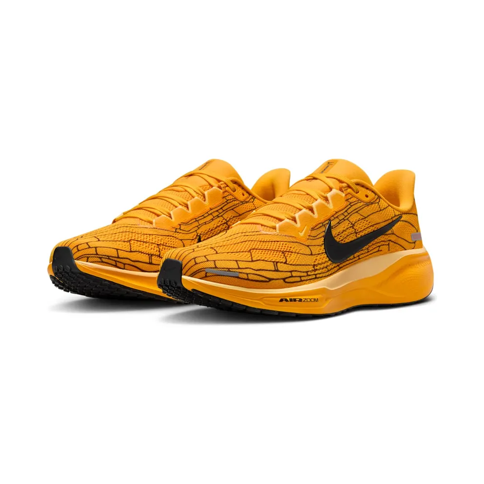Nike Air Zoom Pegasus 41 Modern Mayfly (IH3257-700)