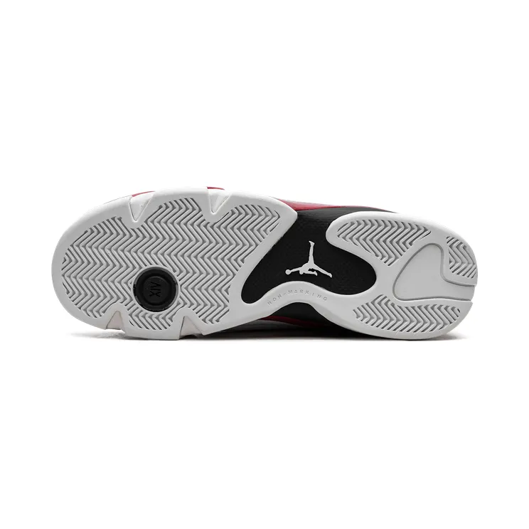 air-jordan-14 487524-101