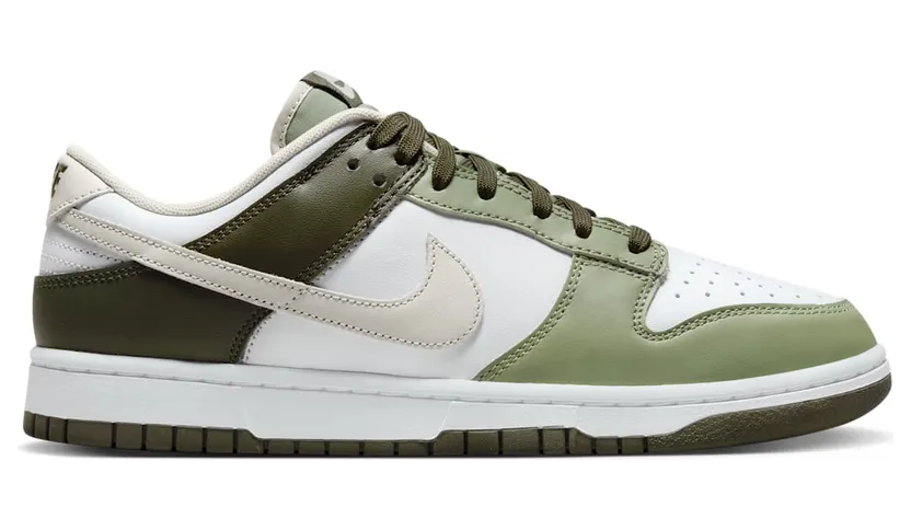 nike-dunk FN6882-100