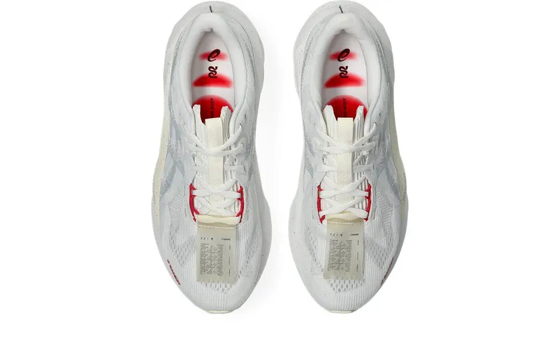 ASICS Novablast 5 Bandit (1011C118-020)