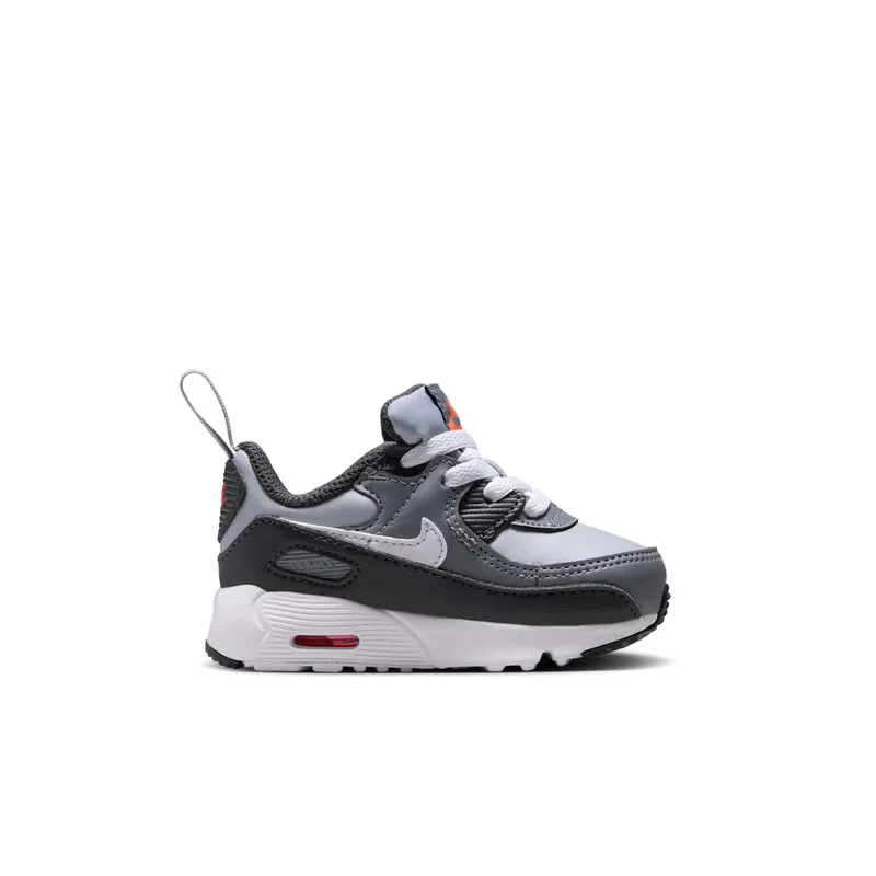Nike Air Max 90 EasyOn Wolf Grey Cool Grey Anthracite White (HF6359-007)
