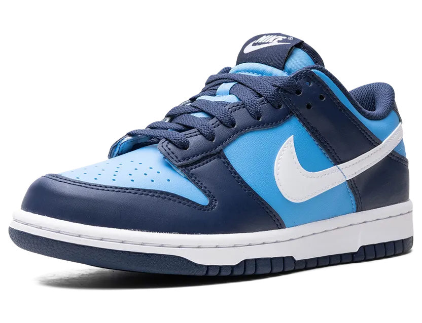 nike-dunk HF0031-400