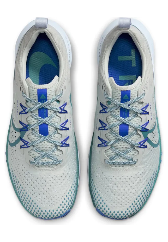 nike-air-pegasus DJ6158-005