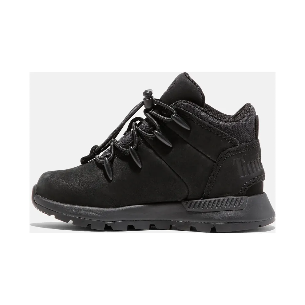 Timberland sneaker Black (TB0A2GCN-015)