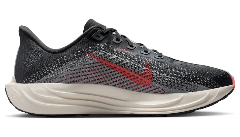 nike-air-pegasus FQ7262-007