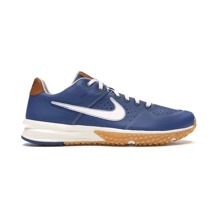 Nike Alpha Huarache Turf 2 Baseballism Flag Man Pro Blue