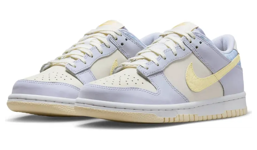 nike-dunk FJ4641-536