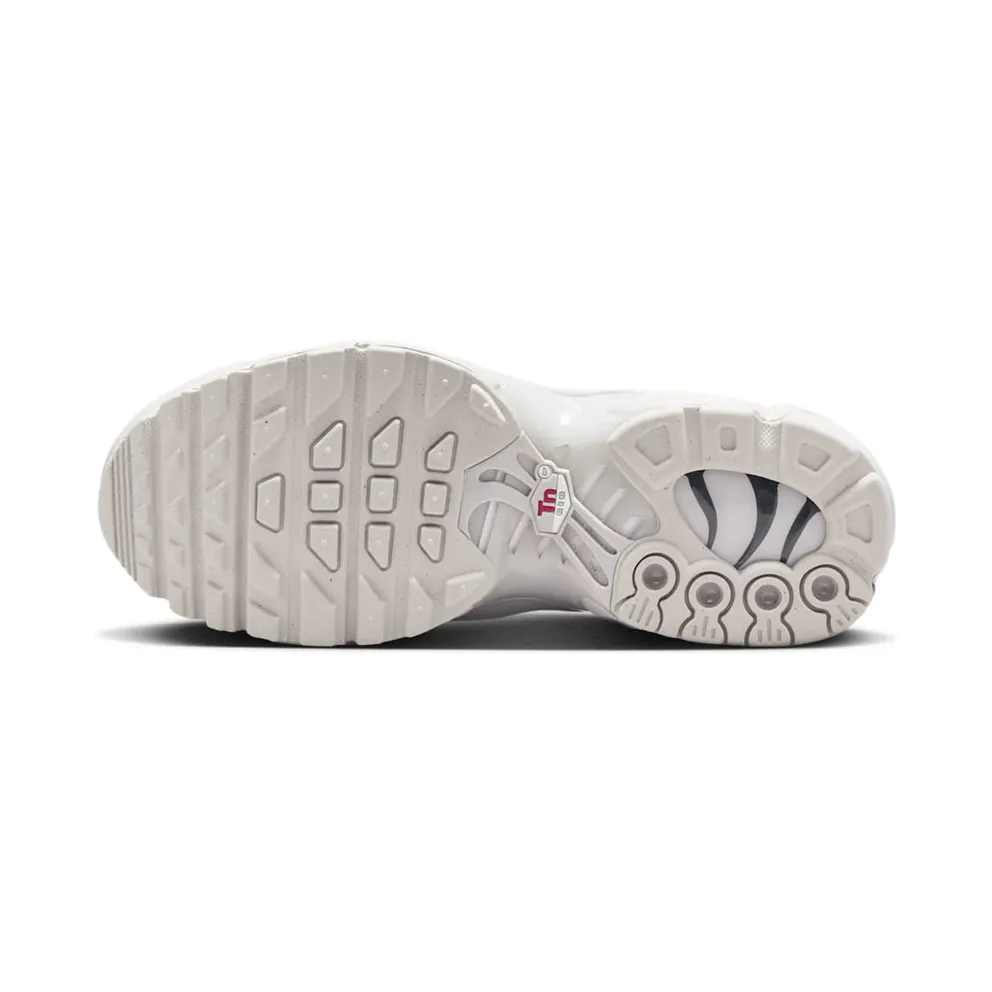 Nike Air Max Plus Light Iron Ore Gym Red Smoke Grey Metallic Silver (FZ0977-001)