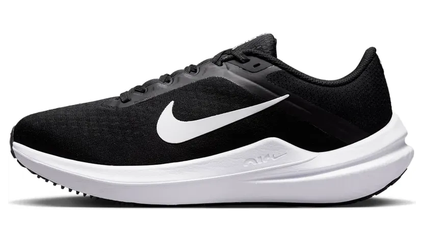 Nike Air Winflo 10 DV4023-003