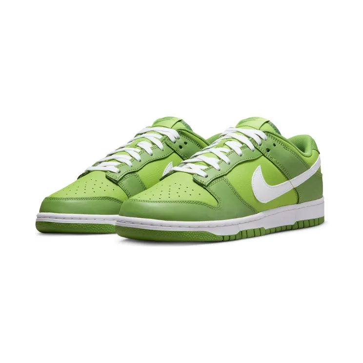 nike-dunk DJ6188-300