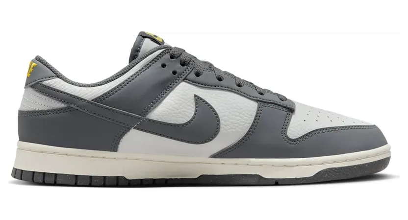 nike-dunk FZ4621-001