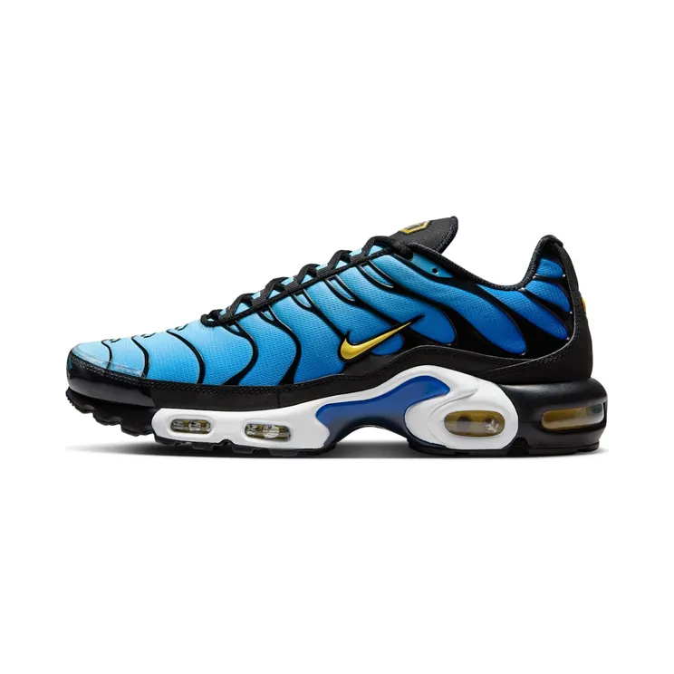 Nike Air Max Plus OG “Black / Sky Blue / Hyper Blue / Chamois” (DX0755-001)