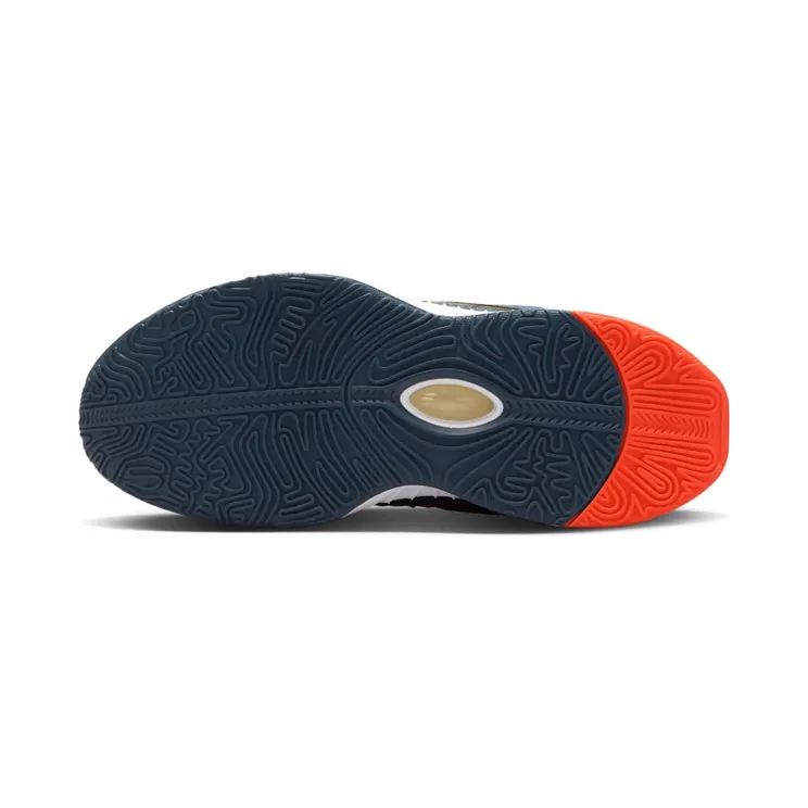nike-lebron FV3606-400