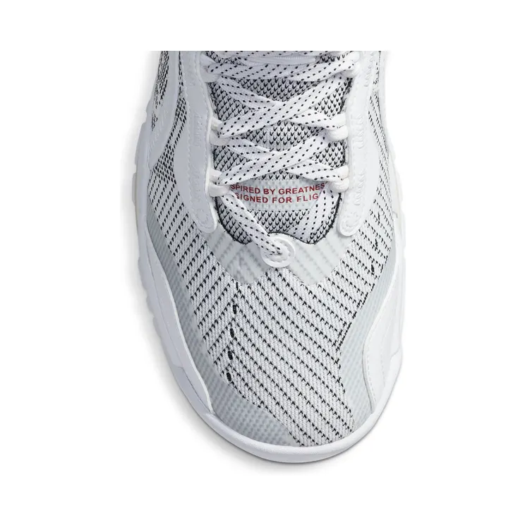 nike-jordan CW3879-100