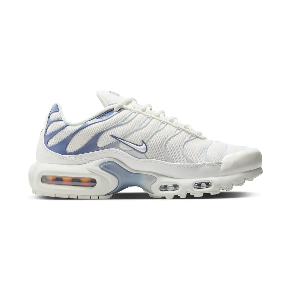 Nike Air Max Plus Ashen Slate (DZ3671-104)