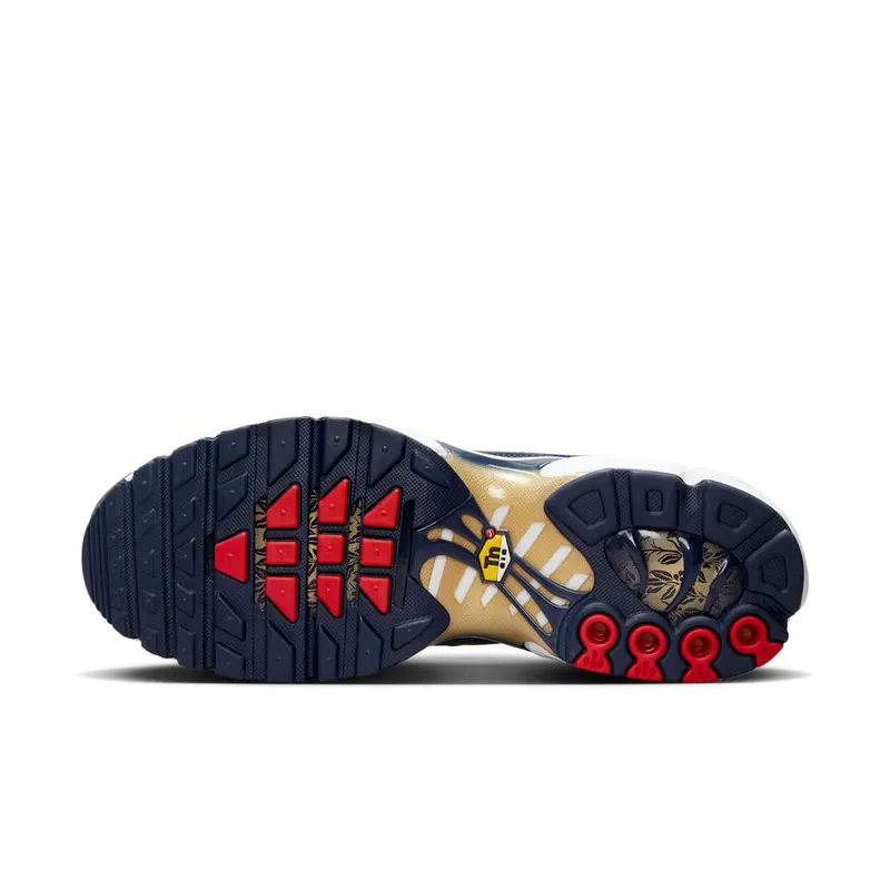 Nike Air Max Plus FFF (FB3350-400)