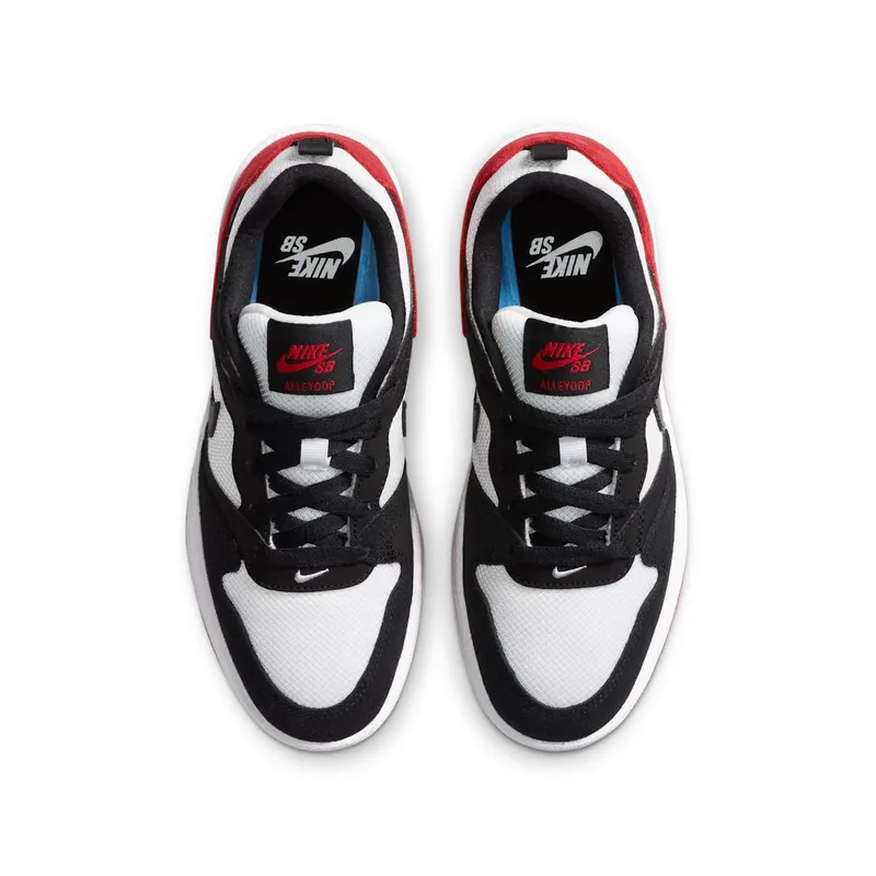 Nike SB Alleyoop (GS) (CJ0883-102)