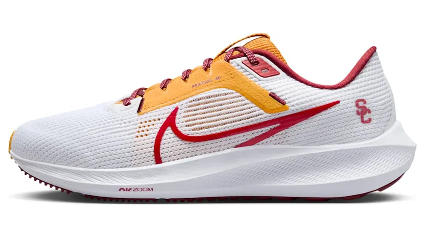 Nike Pegasus 40 USC (DZ6003-100)