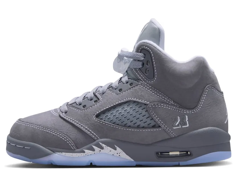Air Jordan 5 440888-002