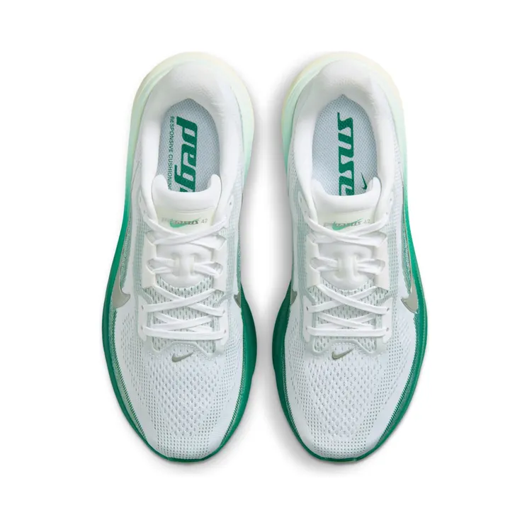 nike-air-pegasus IB1881-100