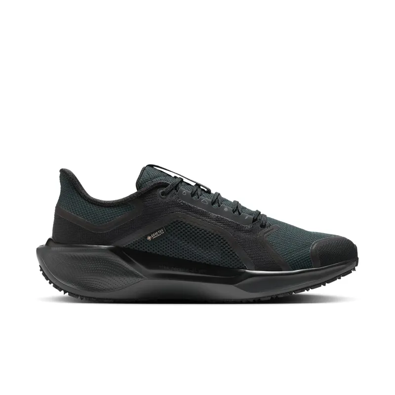 Nike Air Zoom Pegasus 41 GTX “Black Anthracite” (FQ1356-001)