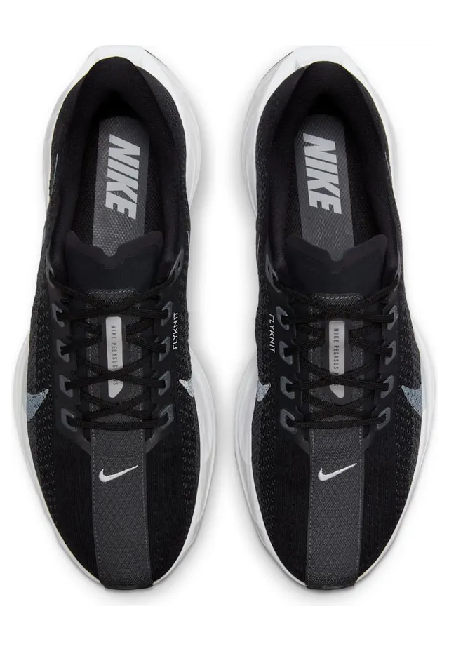 nike-air-pegasus FQ7262-002