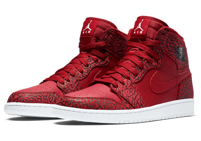 air-jordan-1 839115-600