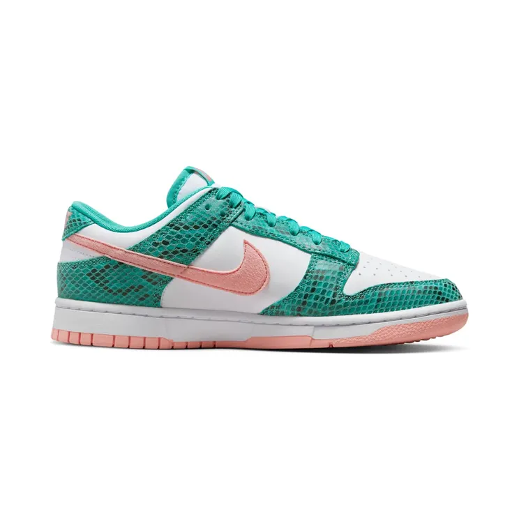 nike-dunk DR8577-300