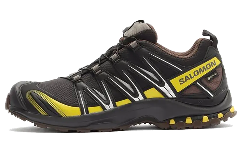 Salomon XA Pro 3D Gore-Tex “Cress Green French Roast” (L47867-800)