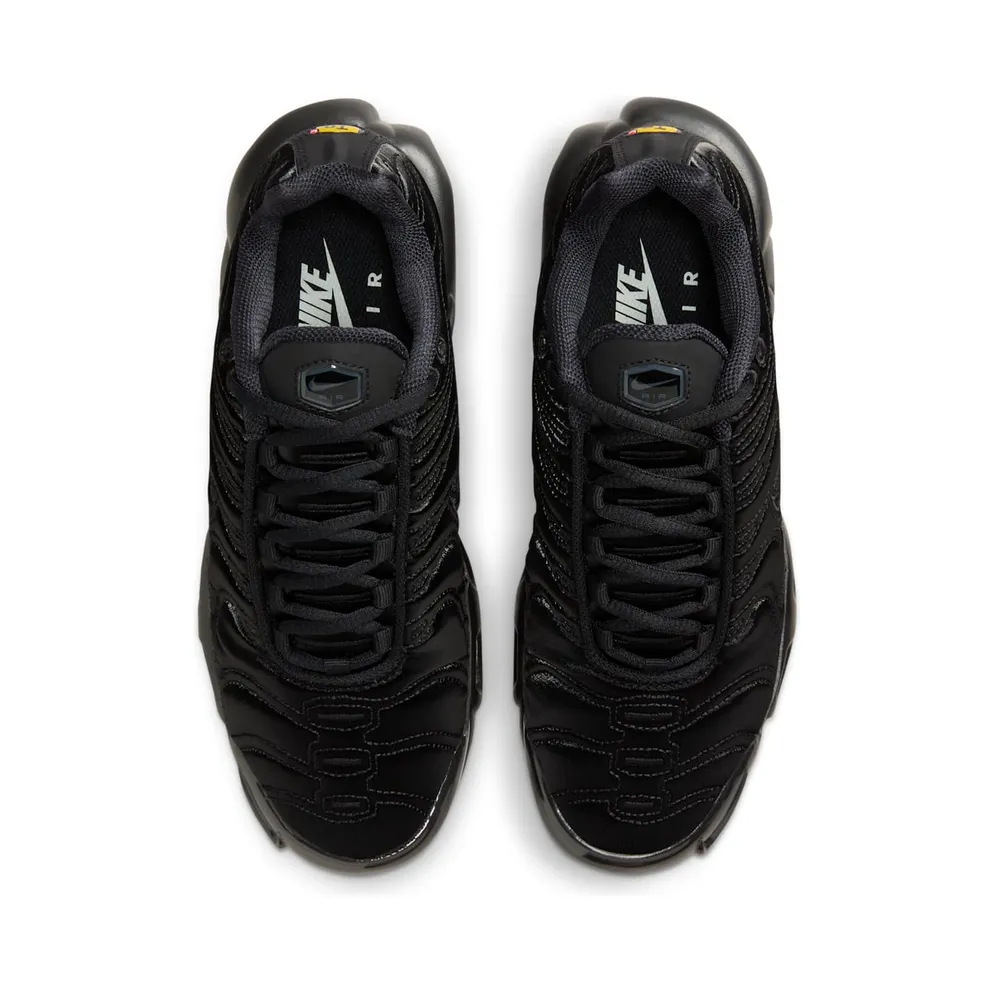Nike Air Max Plus Black/Anthracite/Sail/Black (FV1169-001)