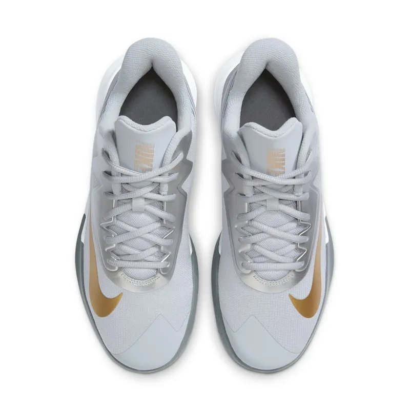 Nike Precision 4 “Wolf Grey Metallic Gold” (CK1069-007)