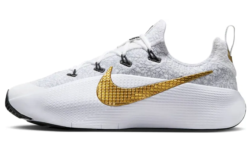 Nike LeBron TR 1 Wolf Grey White Metallic Gold (FJ6151-006)