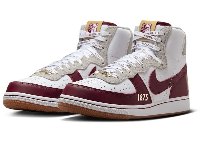 Nike Terminator High Alabama A&M University (FV2048-100)