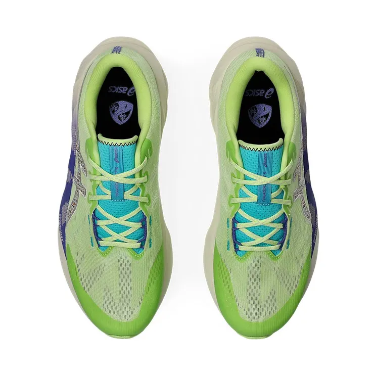 asics-novablast 1011C025-300