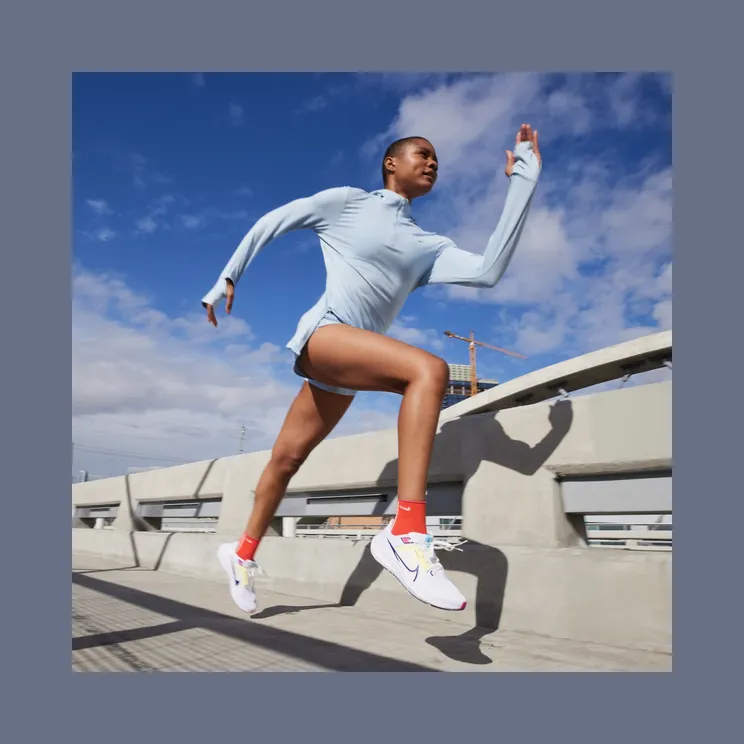 nike-air-pegasus DV3854-105