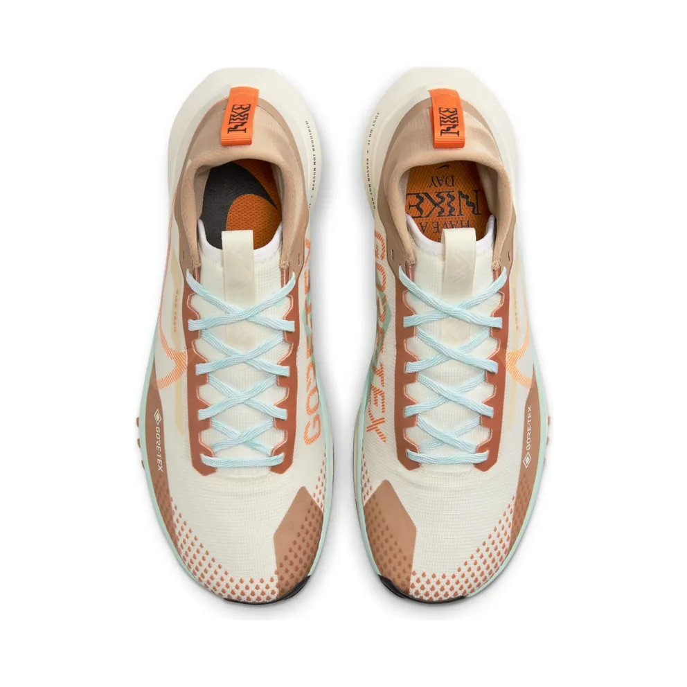 Nike React Pegasus Trail 4 Gore-Tex Have a Nike Day (FN8886-181)