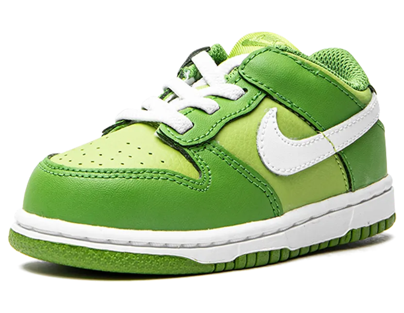 nike-dunk DH9761-301