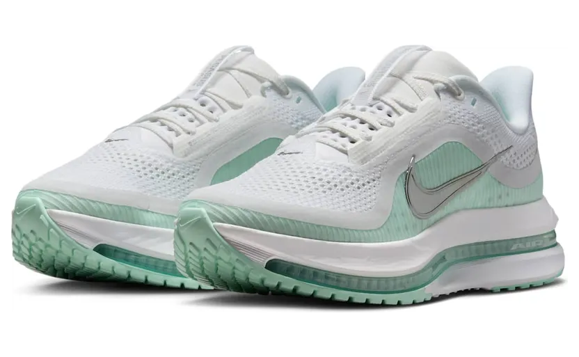 nike-air-pegasus HQ2593-103
